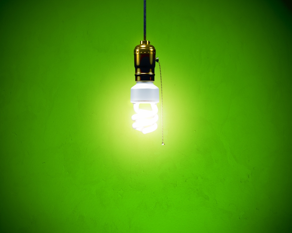 Flourescent Light Bulb