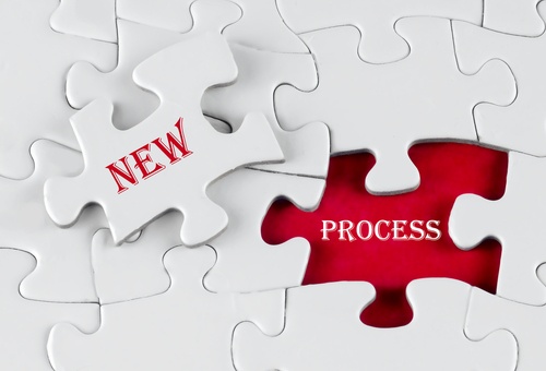 ensure successful roll out of new programs and procedures